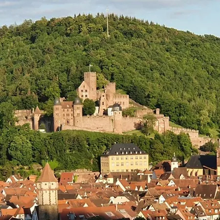'burgblick'